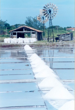 Foto de Marcelo Figueiredo